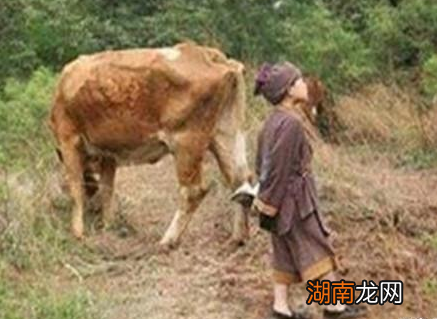 朱元璋年少时给地主刘德放牛 朱元璋登基后地主的下场是什么