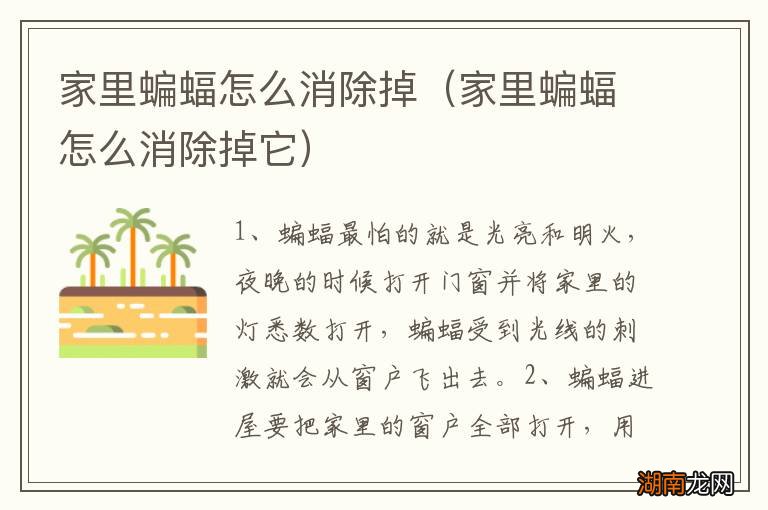 家里蝙蝠怎么消除掉它 家里蝙蝠怎么消除掉