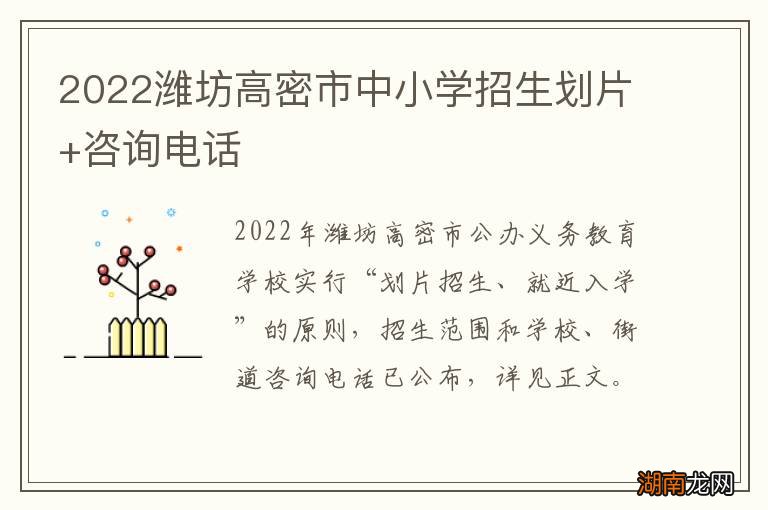 2022潍坊高密市中小学招生划片+咨询电话