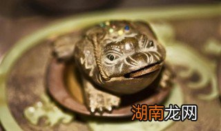 蟾蜍在家里怎么摆放 蟾蜍在家中怎样摆放