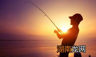 提竿刺鱼手法分享视频 提竿刺鱼手法分享