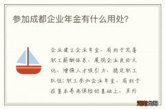 参加成都企业年金有什么用处？