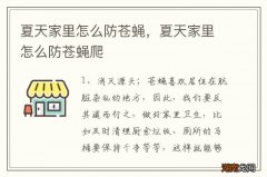 夏天家里怎么防苍蝇，夏天家里怎么防苍蝇爬