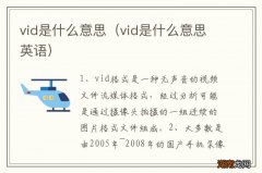vid是什么意思英语 vid是什么意思