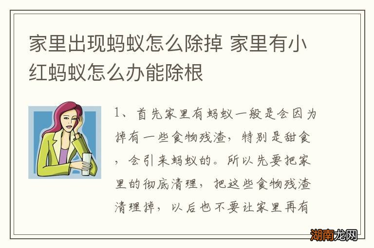 家里出现蚂蚁怎么除掉 家里有小红蚂蚁怎么办能除根