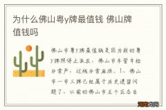 为什么佛山粤y牌最值钱 佛山牌值钱吗