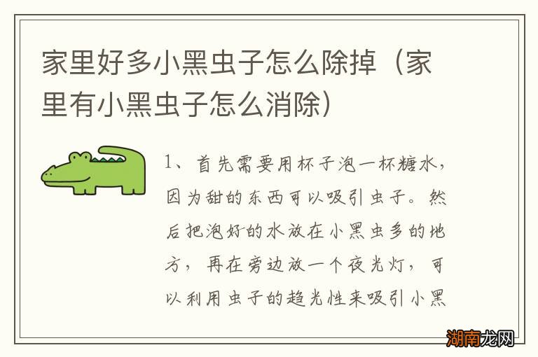 家里有小黑虫子怎么消除 家里好多小黑虫子怎么除掉