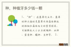 种，种植牙多少钱一颗