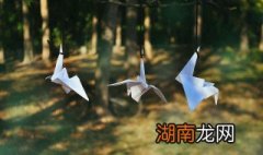 心已被你伤透原唱歌词 心已被你伤透原唱