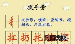 提手旁的字有哪些字 提手旁的字有哪些