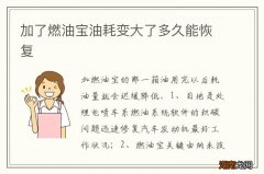 加了燃油宝油耗变大了多久能恢复