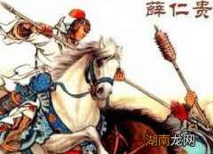 薛嵩是薛仁贵的孙子，为何他却反叛唐朝呢？