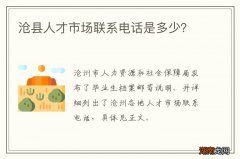 沧县人才市场联系电话是多少？