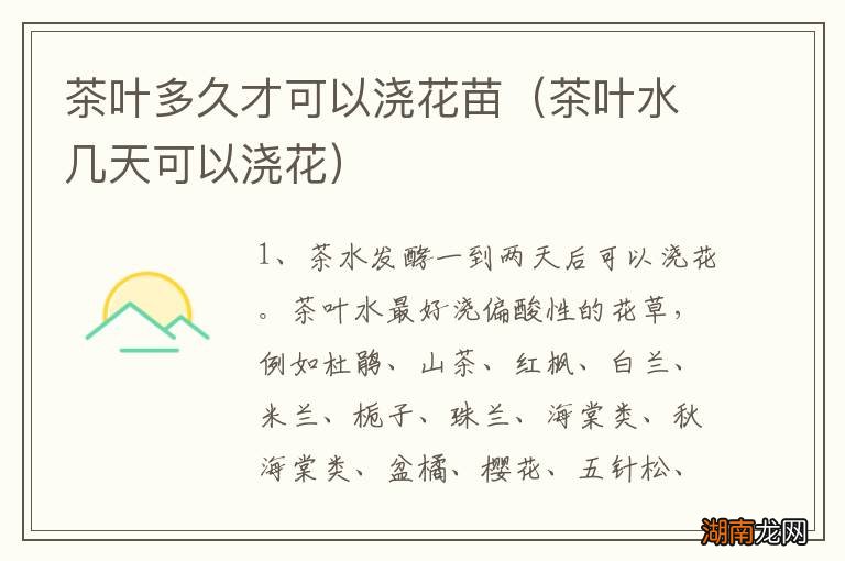 茶叶水几天可以浇花 茶叶多久才可以浇花苗