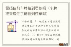 车牌被雪遮住了能拍到违章吗 雪挡住前车牌拍到罚款吗