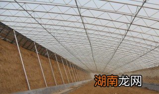 大棚什么材质耐用 大棚什么材质耐用耐用