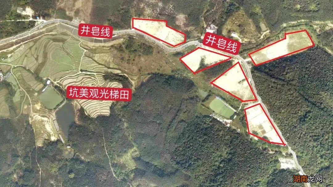 自驾+公交 佛山高明坑美梯田交通指南