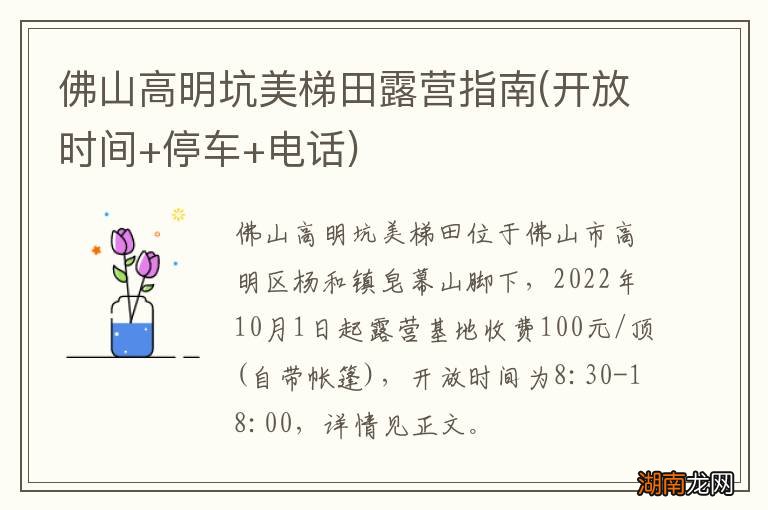 开放时间+停车+电话 佛山高明坑美梯田露营指南