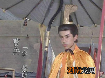 曹魏灭蜀后,为什么司马昭要优待刘禅?