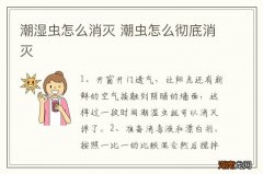 潮湿虫怎么消灭 潮虫怎么彻底消灭