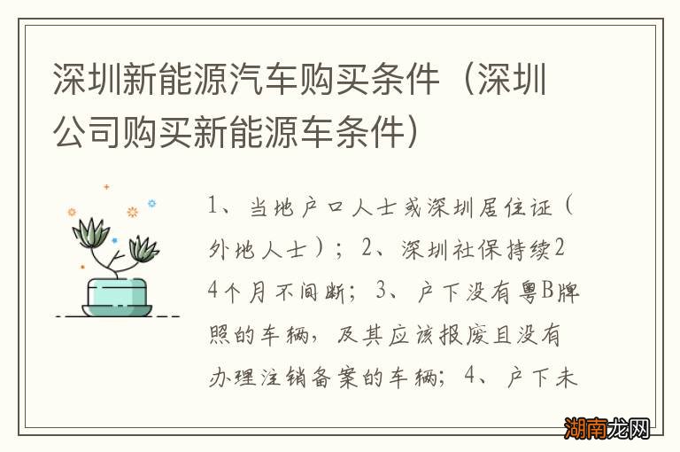 深圳公司购买新能源车条件 深圳新能源汽车购买条件