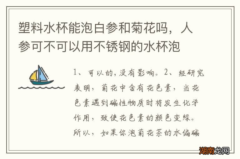 塑料水杯能泡白参和菊花吗，人参可不可以用不锈钢的水杯泡