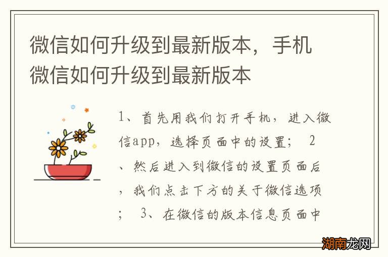 微信如何升级到最新版本，手机微信如何升级到最新版本
