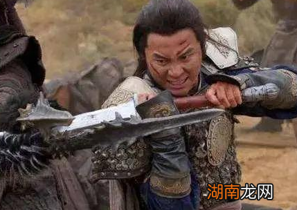 岳飞死后，为什么金国没有趁机进攻大宋呢？