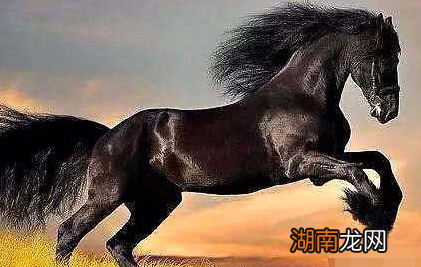 的卢马在害死庞统后,它到底去了哪里?