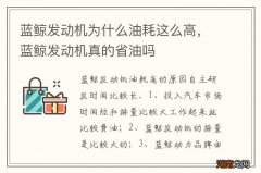 蓝鲸发动机为什么油耗这么高，蓝鲸发动机真的省油吗