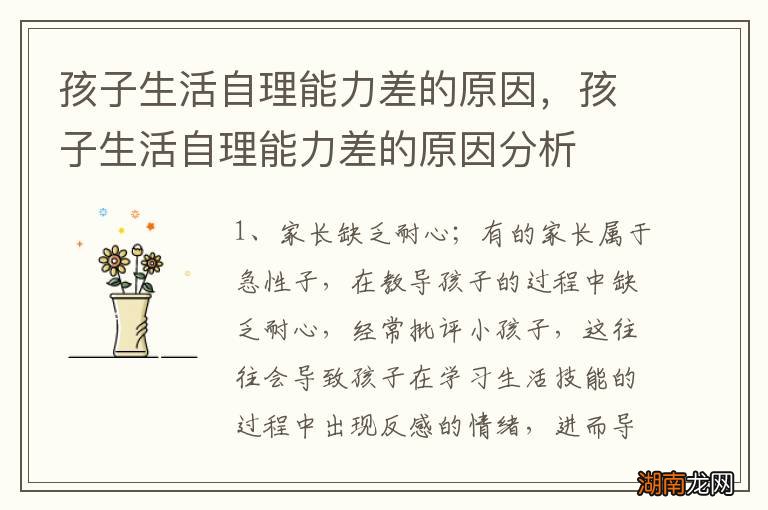孩子生活自理能力差的原因,孩子生活自理能力差的原因分析