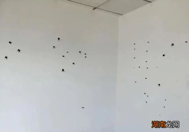 装修踩坑是常态，尤其这4个，不至于毁了一套房，及时补救就好！