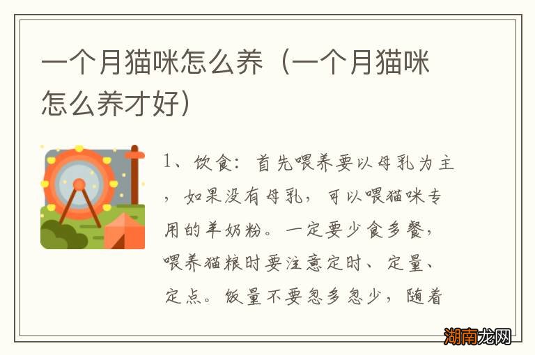 一个月猫咪怎么养才好 一个月猫咪怎么养