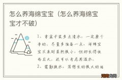 怎么养海绵宝宝才不破 怎么养海绵宝宝