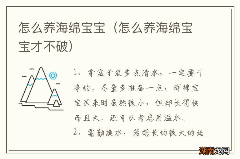 怎么养海绵宝宝才不破 怎么养海绵宝宝