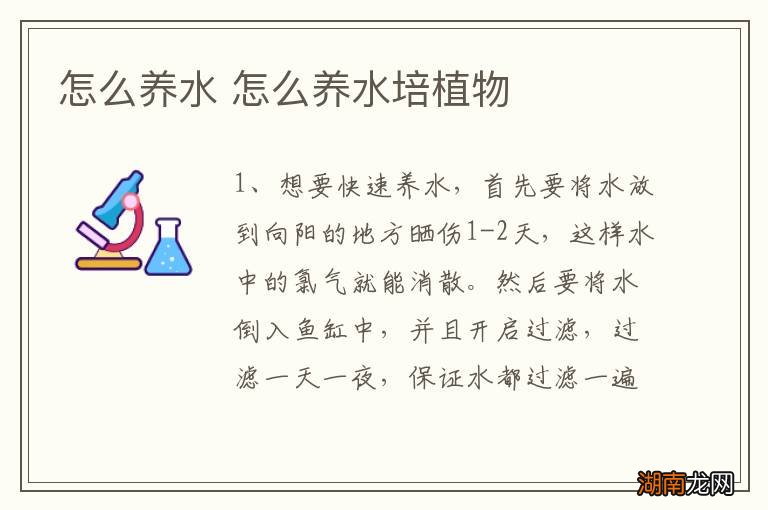 怎么养水 怎么养水培植物