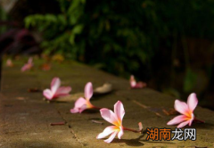 秦观所作的《满庭芳&amp;middot;山抹微云》，蕴含流连难舍之情