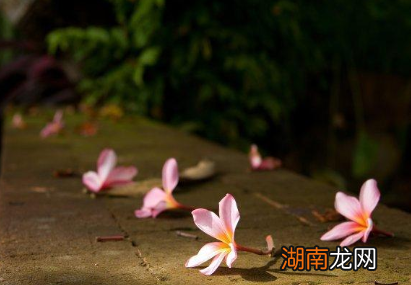 秦观所作的《满庭芳·山抹微云》,蕴含流连难舍之情