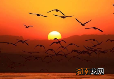 秦观所作的《满庭芳·山抹微云》,蕴含流连难舍之情