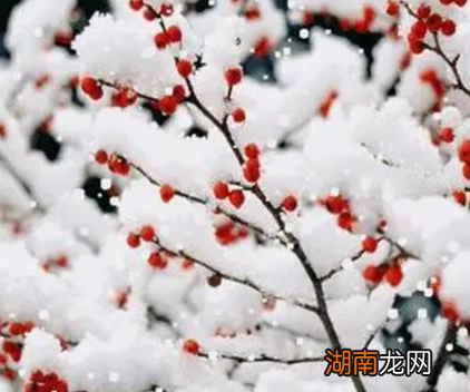 古代冷香丸是什么样的丹药 这个药真的很有用吗