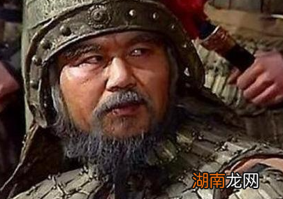 刘禅如果没有贸然投降，邓艾能拿下成都吗？