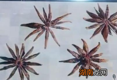 古代夏天来临之际 古人会用什么东西防蚊驱蚊