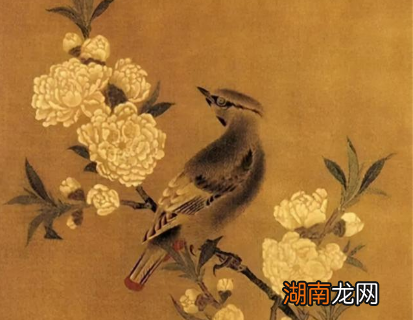 南宋时期，花鸟类与山水类的题画词分别有怎样的特点？