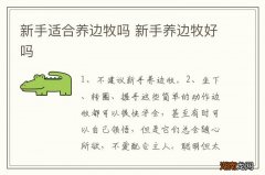 新手适合养边牧吗 新手养边牧好吗