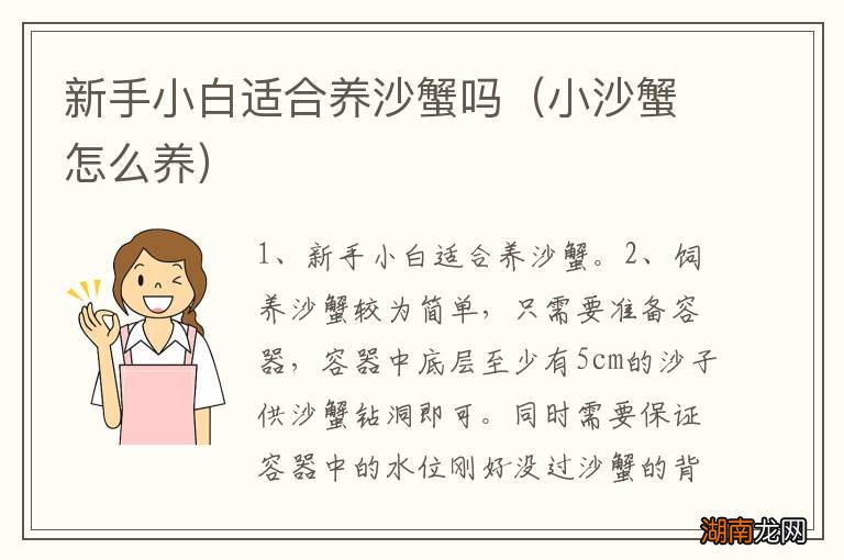 小沙蟹怎么养 新手小白适合养沙蟹吗