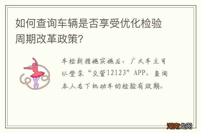 如何查询车辆是否享受优化检验周期改革政策?