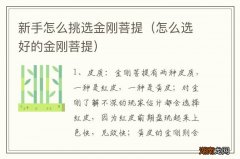 怎么选好的金刚菩提 新手怎么挑选金刚菩提