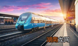 宠物能不能带上轻轨 宠物可以带上轻轨吗?