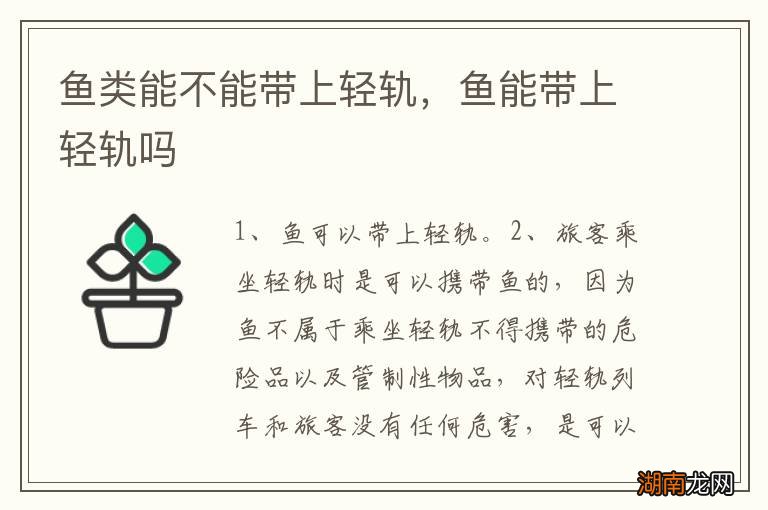 鱼类能不能带上轻轨,鱼能带上轻轨吗