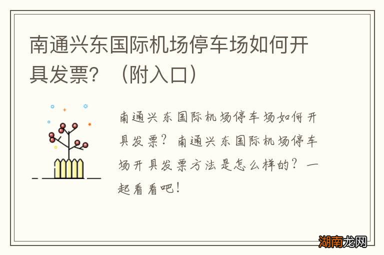 附入口 南通兴东国际机场停车场如何开具发票?
